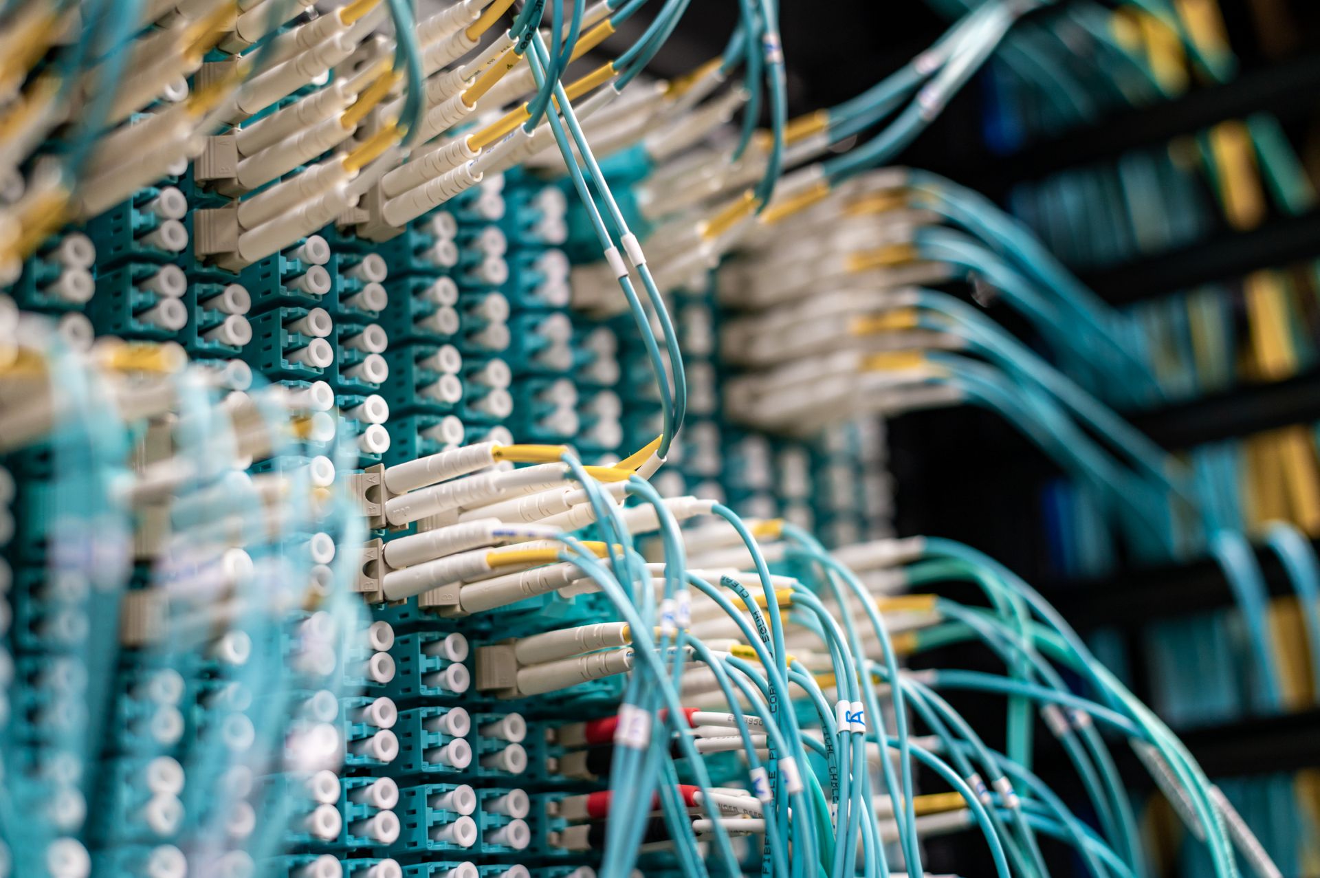 Network rack with patch panels and tidy blue ethernet cabling